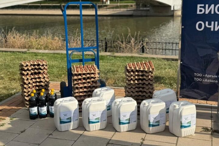 Ручей Акбулак в Астане очистили бактериями
