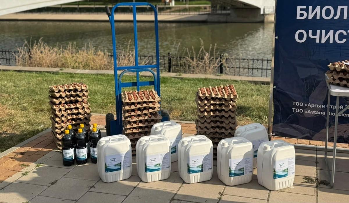 Специалисты вносят биопрепарат в воду ручья Акбулак в Астане