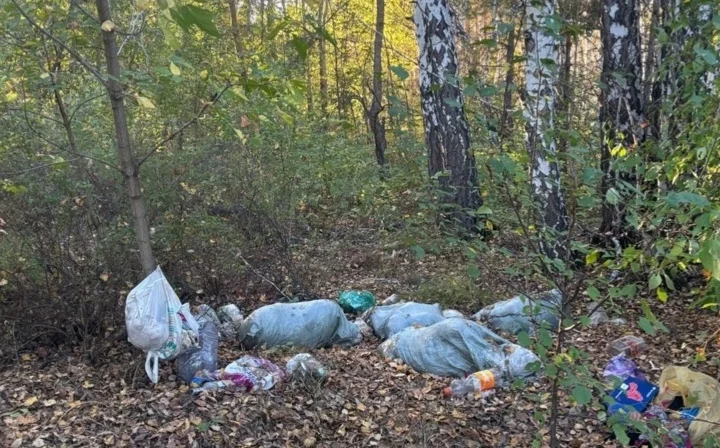 В лесах у Бесколя в СКО образовались стихийные свалки
