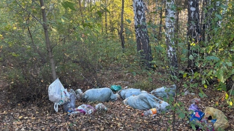 Пакеты и бытовой мусор среди деревьев в лесу у села Бесколь в Северо-Казахстанской области