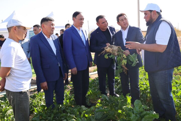 Таразский сахарный завод вернется к переработке свеклы
