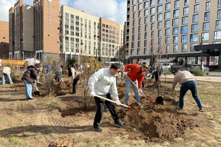 В районе Нура Астаны высадили около 400 деревьев