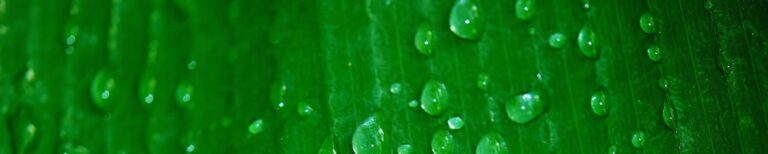 home header bg 4 scaled 3 768x154