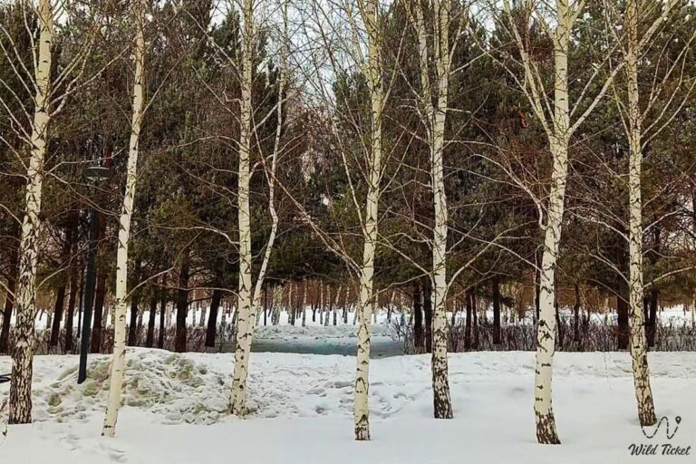 1674054679 zheruyk astana park 4 768x512
