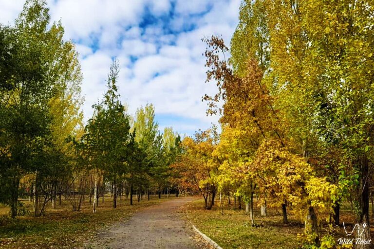 1674054680 zheruyk astana park 2 768x512