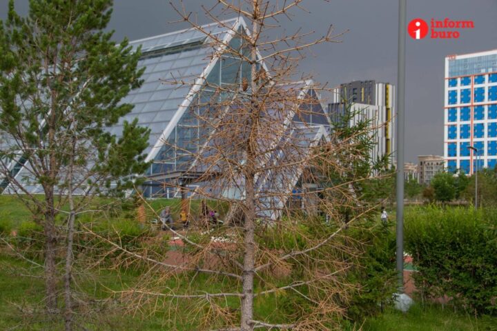Ботанический сад — Астана