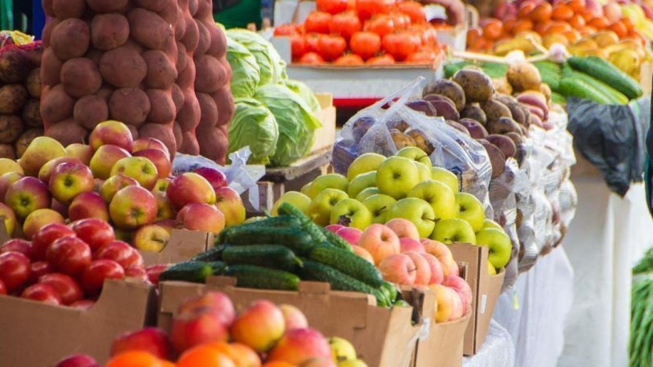Торговые прилавки сельскохозяйственной ярмарки на ипподроме в Астане