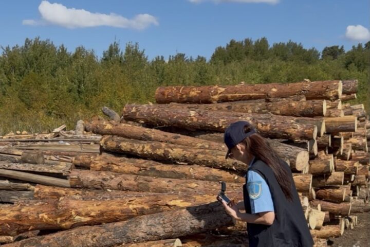 В Казахстан пытались ввезти зараженные пшеницу и гранаты