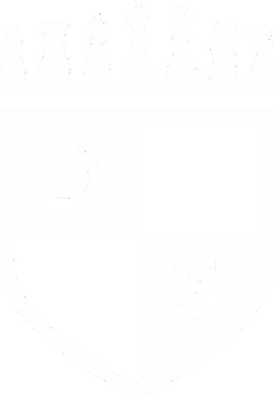 ds logo 1