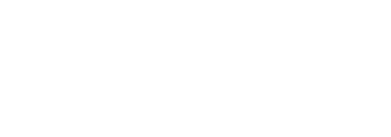 unnamed file 7 768x269